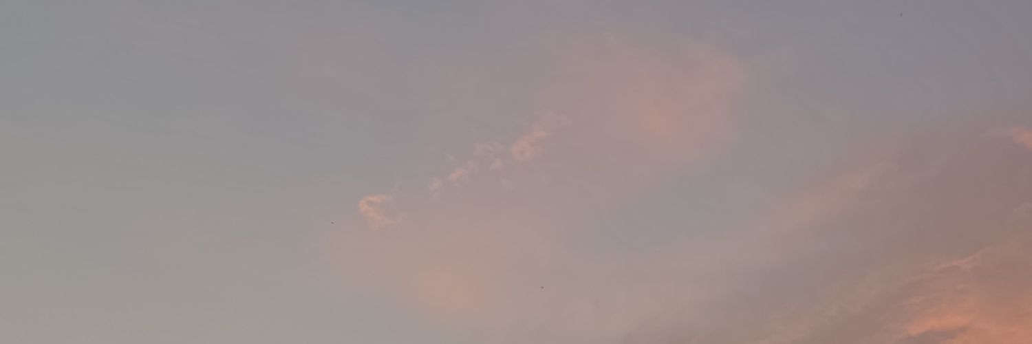 quincymayferta's profile banner image