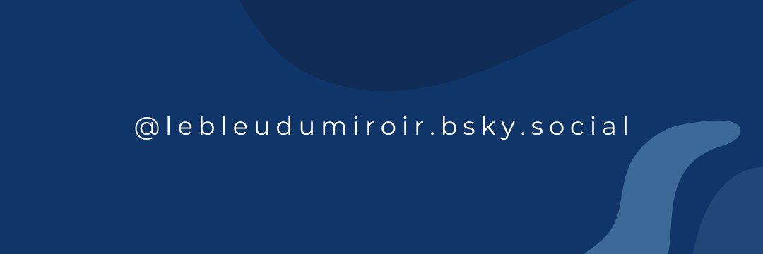 Le Bleu du Miroir banner