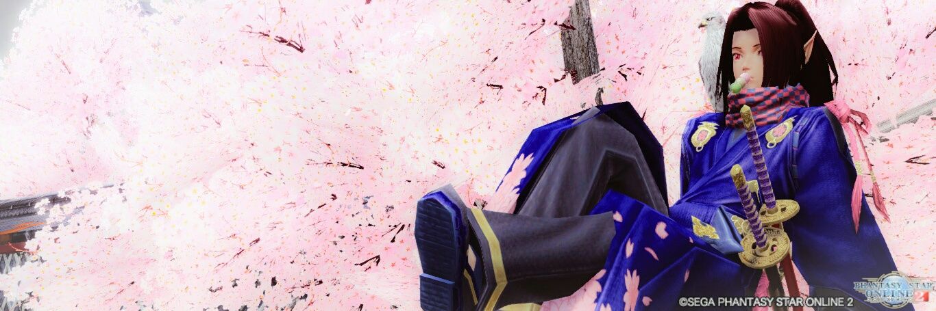 zimi004's profile banner image