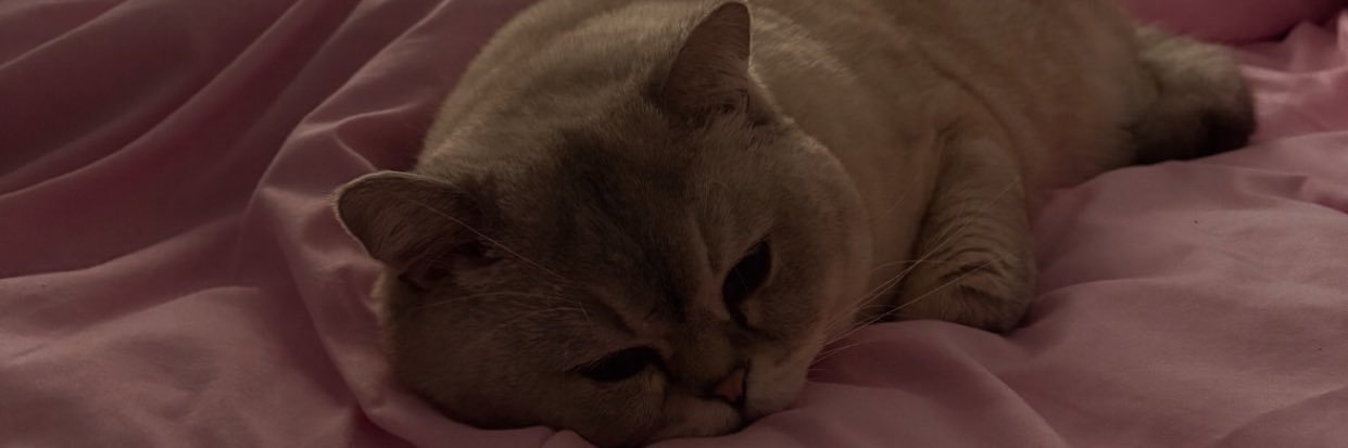 yasxj's profile banner image