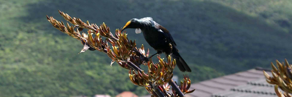 NicsGoingGlobal Profile Banner