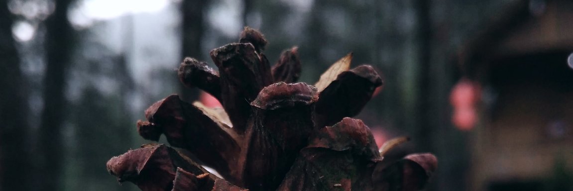 affanAS_'s profile banner image