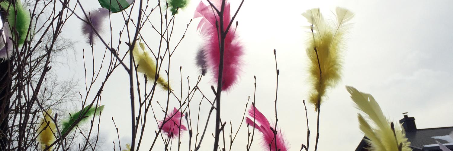 KateFaxen's profile banner image