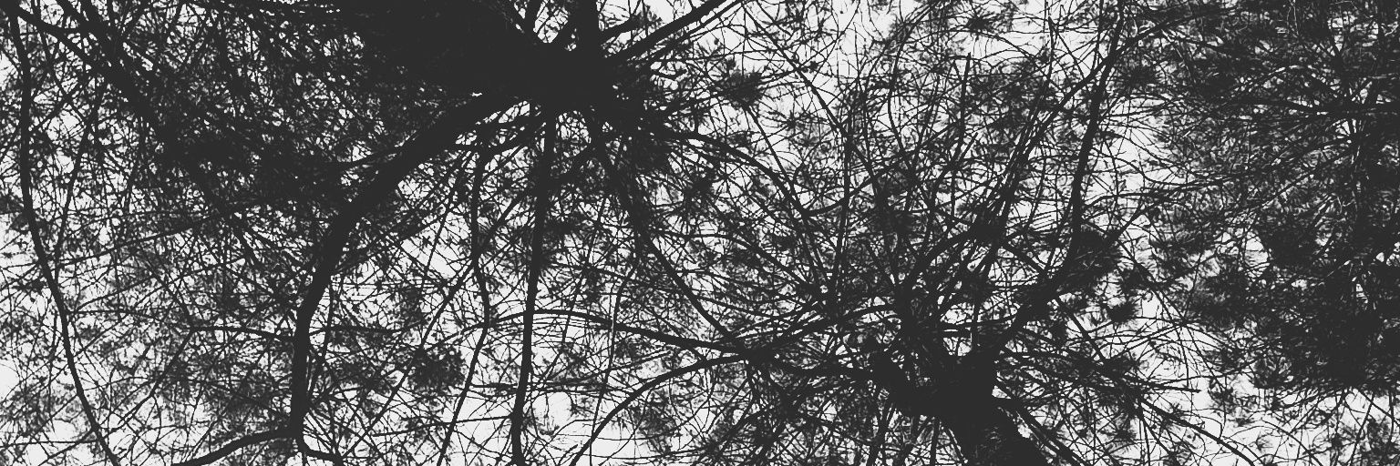 wardhanandi's profile banner image