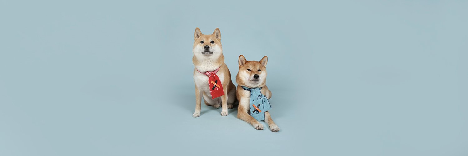 Studio Moross banner