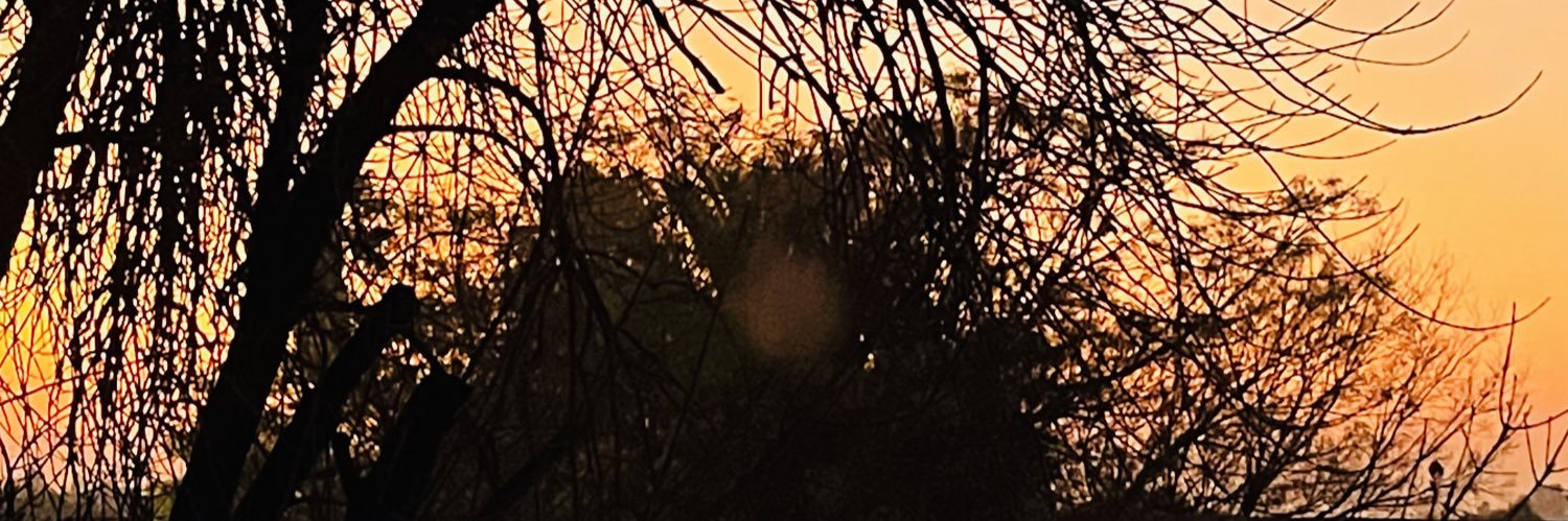 desireemanaka's profile banner image