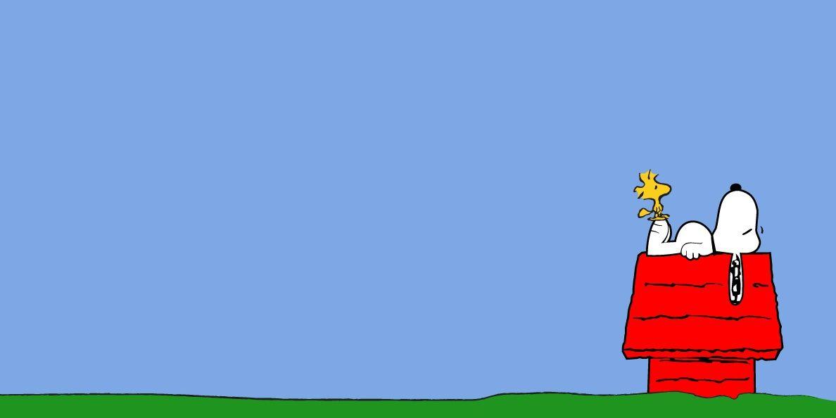 Claudi_156's profile banner image