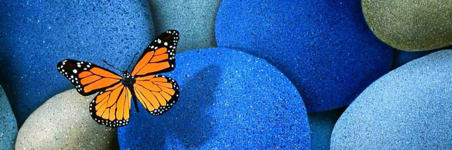TracyColletta's profile banner image