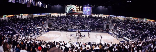 DomLippi Profile Banner