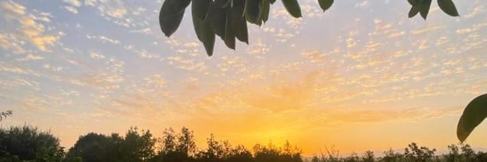 Marina_Florit's profile banner image