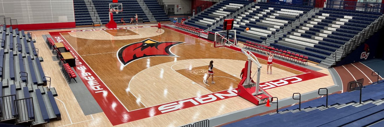 SVSU Women's Basketball's banner