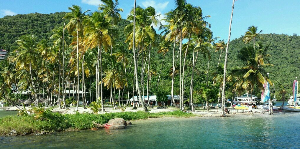 Mehtaphysical banner