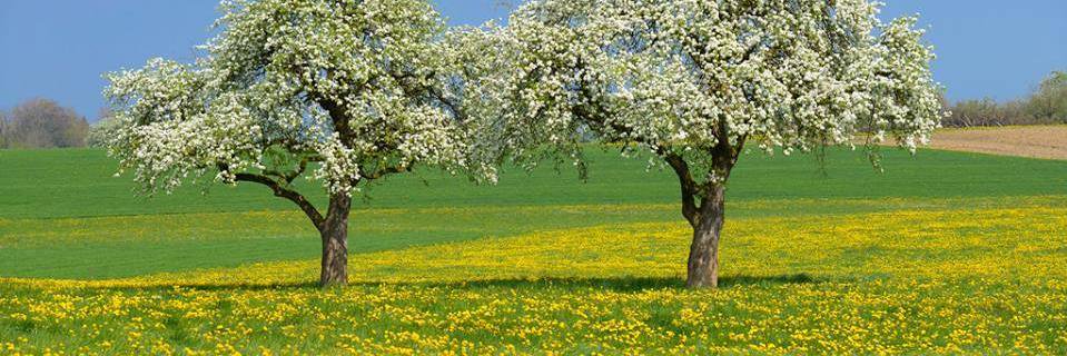 For health-promoting environments banner