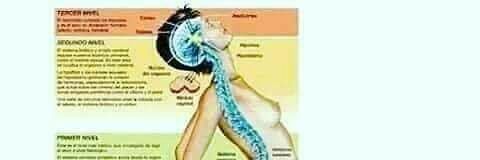 Bintang Kejora banner