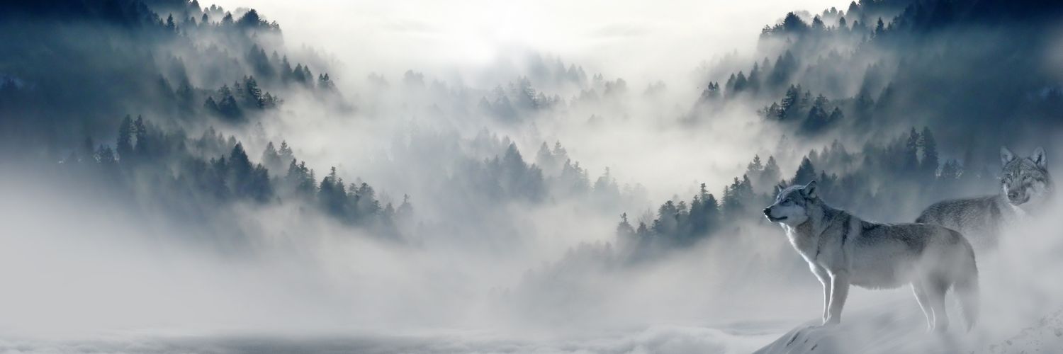 nackdeen's profile banner image