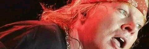 DragicaPesic's profile banner image