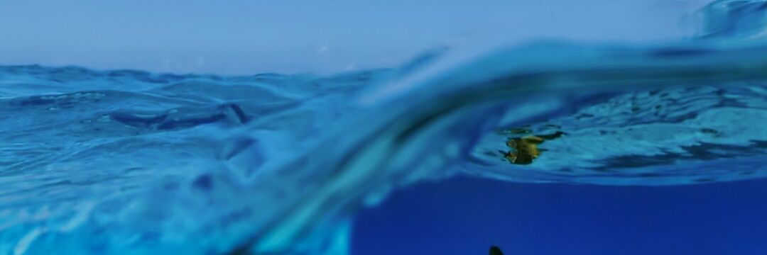 bictyni's profile banner image