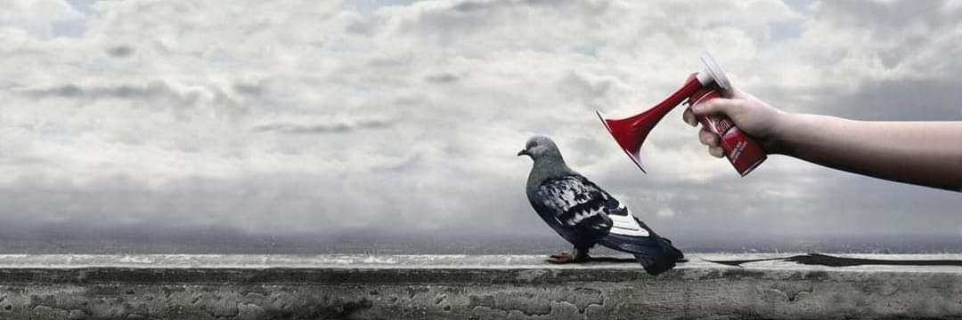 Dídac 🖕The tumult❤️💛💜 banner