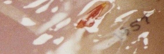 kayigna's profile banner image