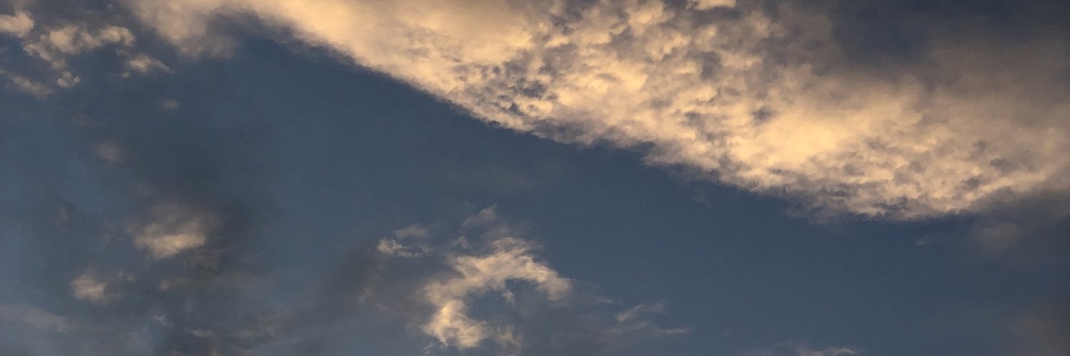 laelaf_'s profile banner image