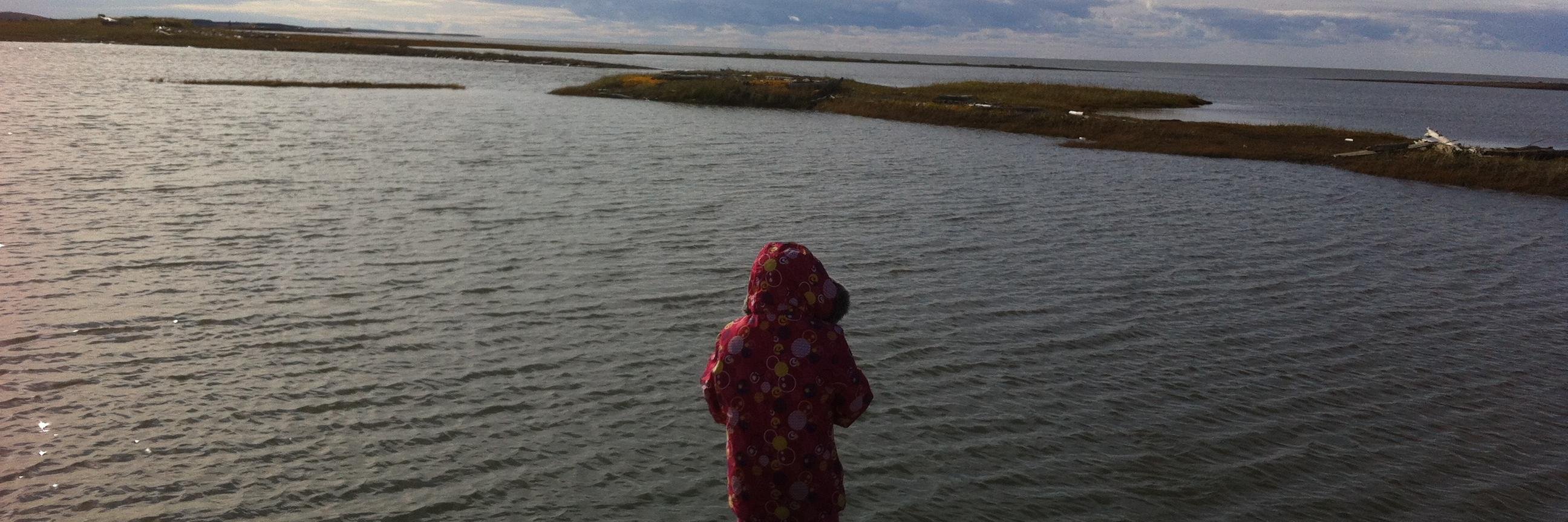 Gregory Wilson banner