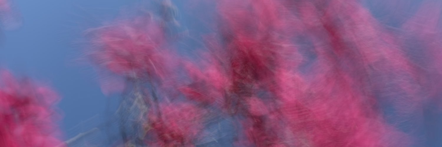 Joynsonc's profile banner image