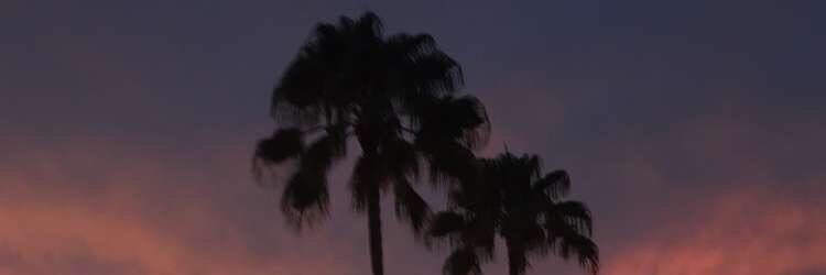 _RamsesLeon's profile banner image