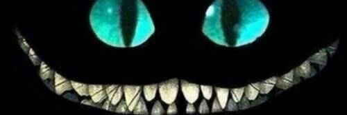 👀 banner