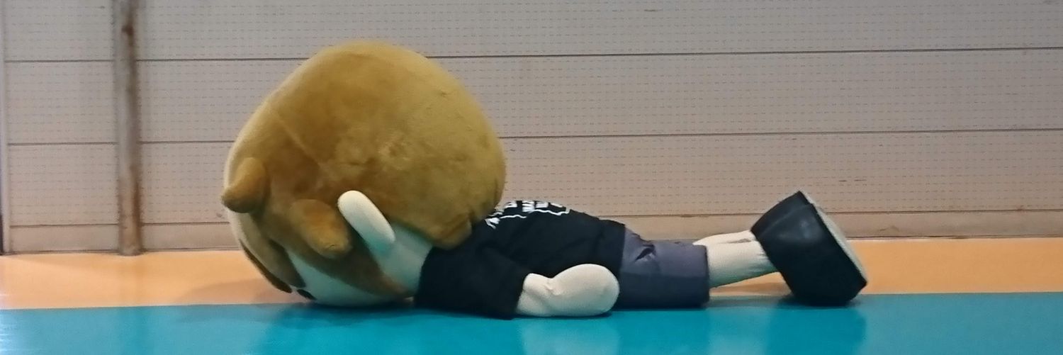 すぎんこ banner