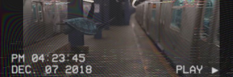 shapedeuruana banner