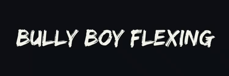 bigavelli365's profile banner image