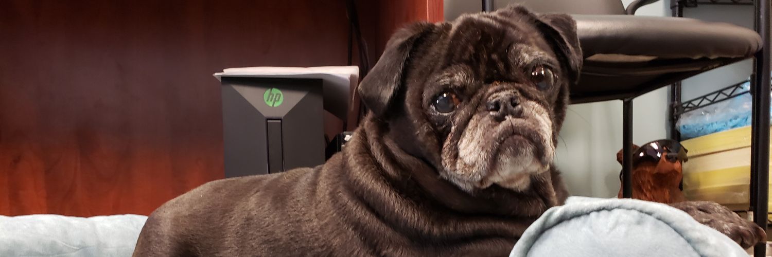ByrneDevin's profile banner image