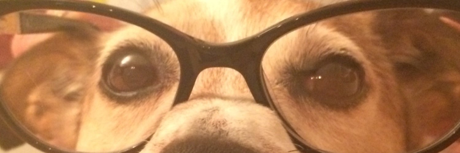 SarahSenelWalp's profile banner image