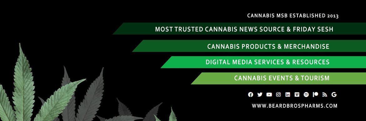 Brian Holler ✨🌏🤔 banner