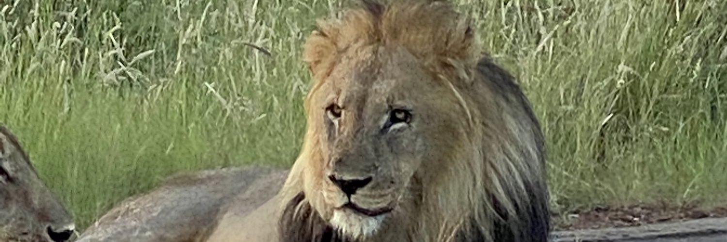 Pierre Gratton banner