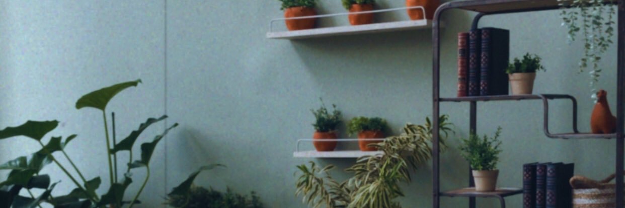lindasarah banner