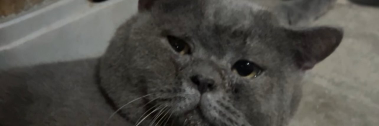 MohdRazlan_'s profile banner image