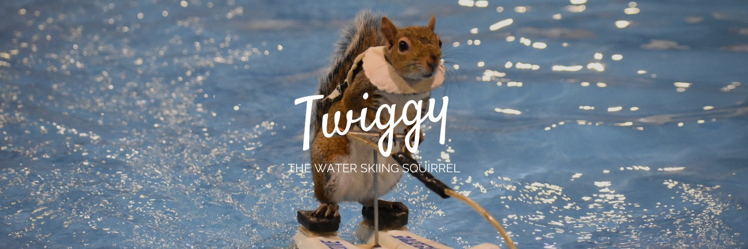 Twiggy the Water Skiing Squirrel banner