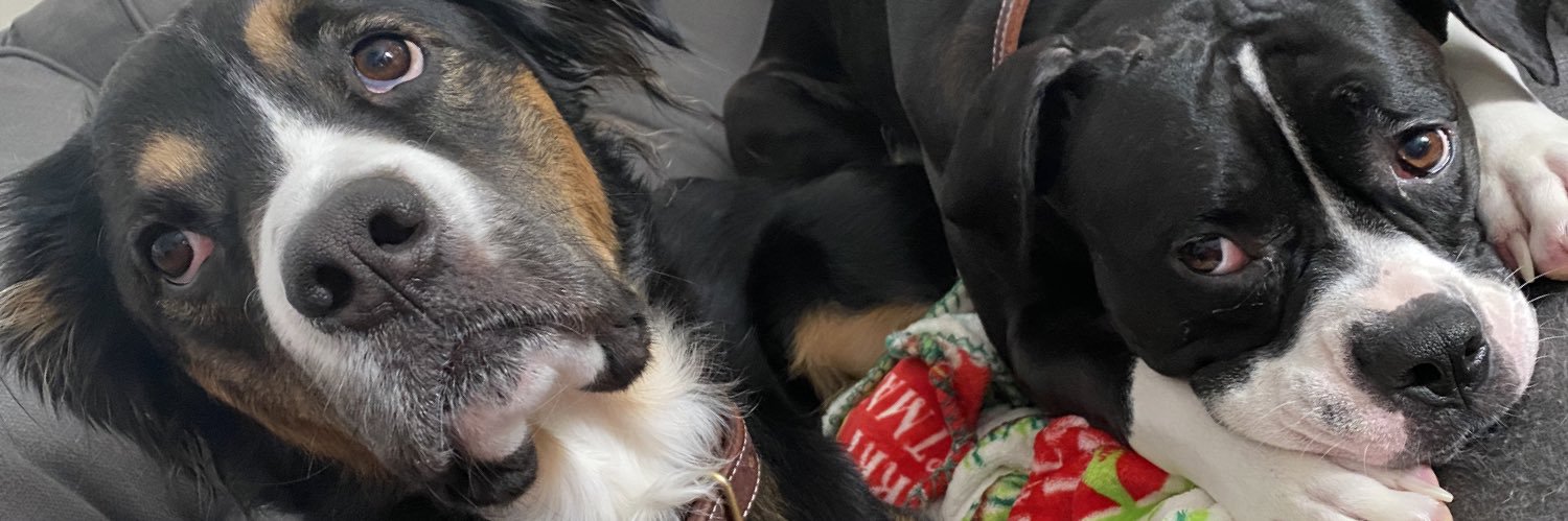 stacipii's profile banner image