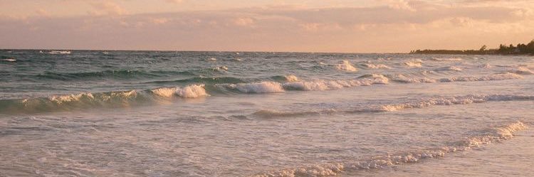 eym8_e's profile banner image