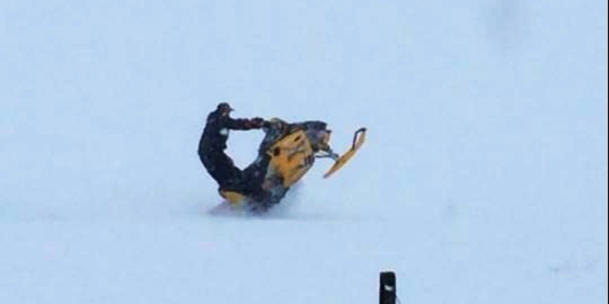 kibblesnbitsky's profile banner image