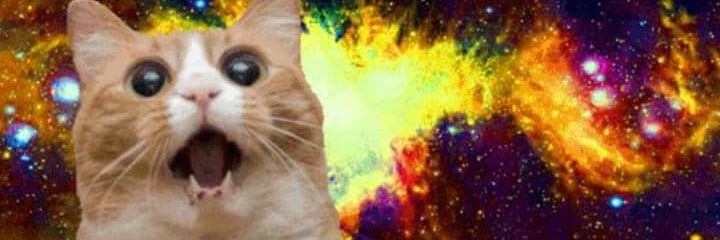 TaigaChan's profile banner image