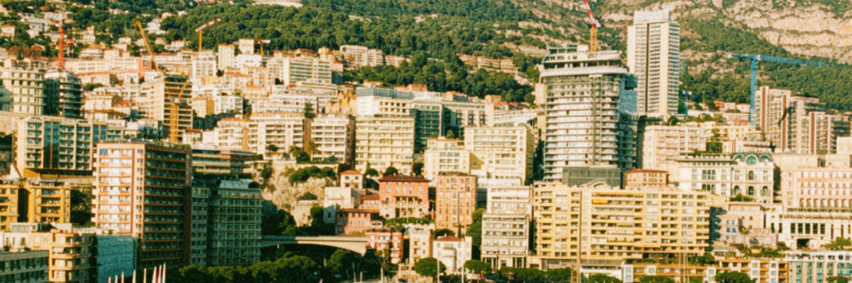 steff banner