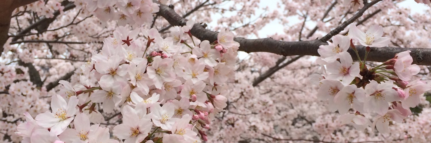 あまみ banner
