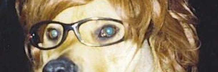 christdefranco's profile banner image