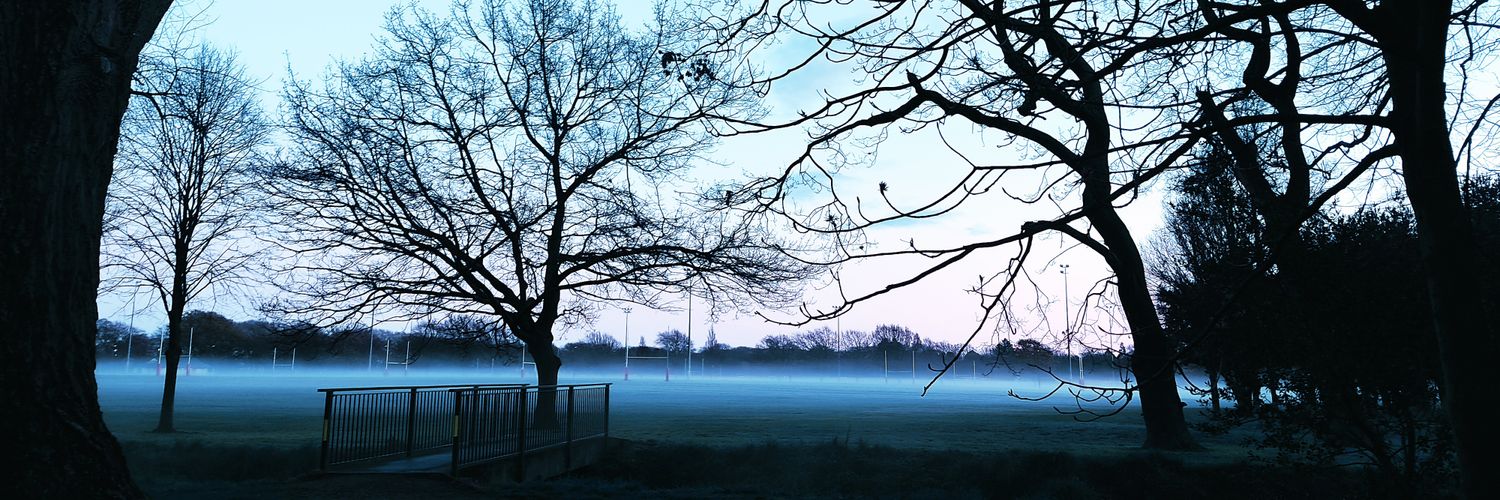 Robyn Nuthall banner