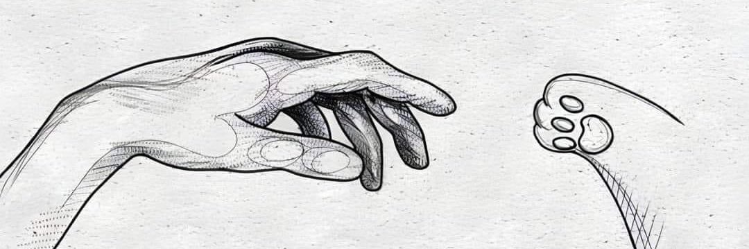 callrn_'s profile banner image
