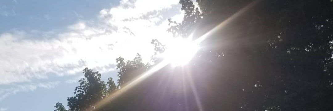diamar7's profile banner image