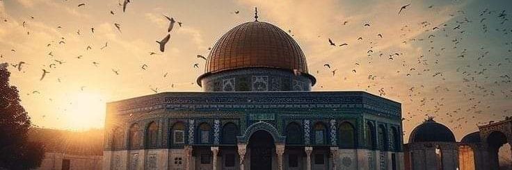 maher96_mohamed's profile banner image