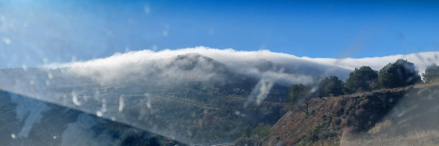 Ladybiteslove's profile banner image